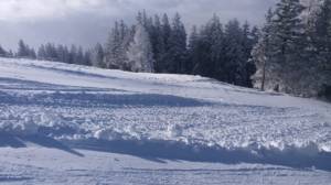 NaturalnaSzkola.pl - Ferie Zimowe