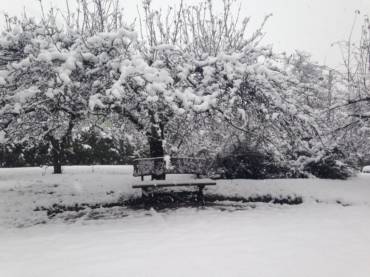 Spotkanie informacyjne: Kochani! Kto chce do&nbsp;nas dołączyć?